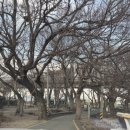 1001 | [김해 진례] 아이와 가볼만한 카페: 넓은 마당과 숲 뷰가 예쁜 '1001숲카페' 방문 후기