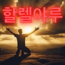 콜렉트 명동 | 겨울 지나 봄