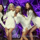 큐리어스 이미지