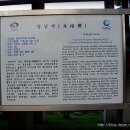 천안삼거리초등학교 이미지