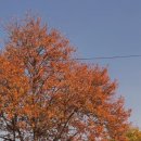 호텔 투하트 이미지