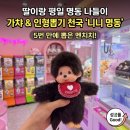 인생사진 인형뽑기 | 명동 가챠샵 니니 명동 후기｜평일 낮 인형뽑기 성공률은?