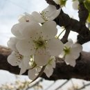 현명농장 이미지