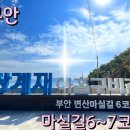 곰소성림젓갈