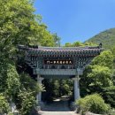 용연공원(도로변) 네이버블로그