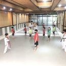 유나이티드 미르태권도장 네이버블로그
