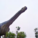 공룡박물관 이미지