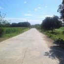 양계장농장 이미지