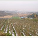 덕현농장 이미지