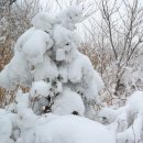 영남 오계절 산악회얹혀가기 이미지