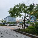 코코호도 - 수영구 수영로408번길 10 | 코코호도