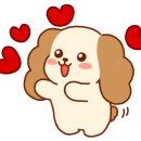 830샐러드앤키토 상인월성점 이미지