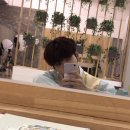 초밥몬스터