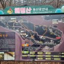 가람인삼