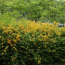 장자호수생태공원 이미지