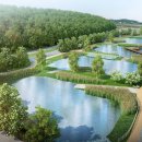 신장천 인공습지 이미지