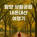 진성산업 | 함양 가볼만한곳 2025제 20회 함양 산삼축제 라인업 상림공원 탐방 후기