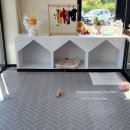 댕댕샤워 이미지