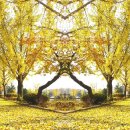 산서농협 앞 이미지