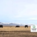 실크로드주유소 이미지