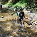 푸른별어린이집 이미지