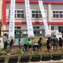 모내는날 이미지