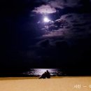 이만식 | (이만식 교수의 조각시 산책 21) 달그림자 / 이하 ㅡ 설악투데이