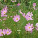 소명 행정사사무소 이미지