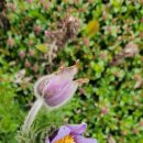 풀빛향기송정마을 이미지