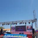 저도 대문어축제 이미지