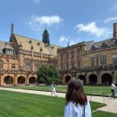 시드니 대학교(The University of Sydney) 방문 후기 - 호그와트 같은 교정 / 자카란다 가득 핀 거리💜