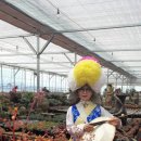 기쁨이네농장 이미지