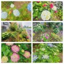 고은관광농원 휴양콘도미니엄 이미지