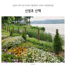 씨유 아산신정호공원점 | 신정호 산책 아산 아이와 가볼만한곳 신정호 자연생태공원