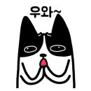 까모까모(camocamo) 이미지