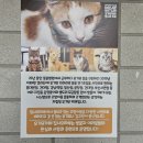 집사의하루 노원점 이미지