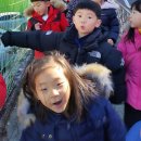 동상초등학교 이미지