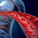 피티홀릭짐 이미지