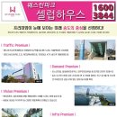 셀럽하우스 네이버블로그