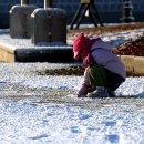 하얀세상 이미지