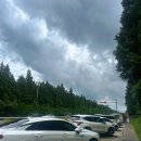 남조로사려니숲길 앞 이미지