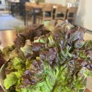 웅비축산 | [원주맛집 육장갈비] 원주 혁신도시 돼지갈비 맛집 💛