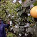 김재훈농장 이미지