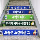 대청정육점