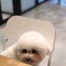 인라이크 이미지