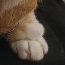 곰실보리밥집 | 2024.01.~02.