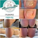 시저스헤어 이미지