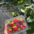 호길농장 이미지