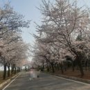 광현수산 이미지