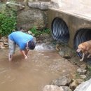 퍼피 앤 이미지